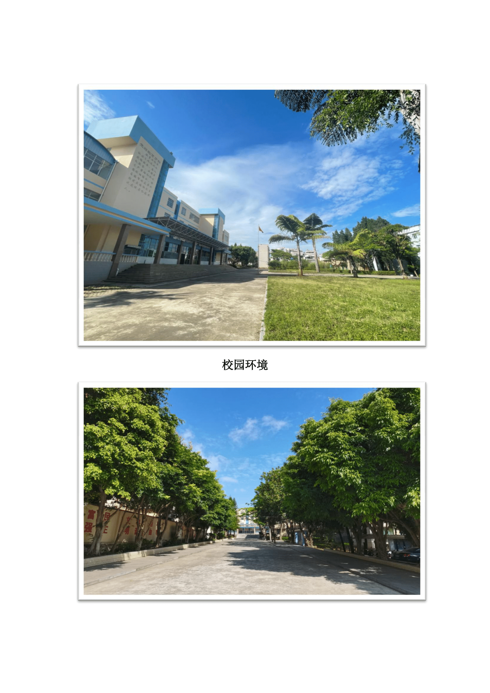 云南红河发展集团实习项目(2)-5.png