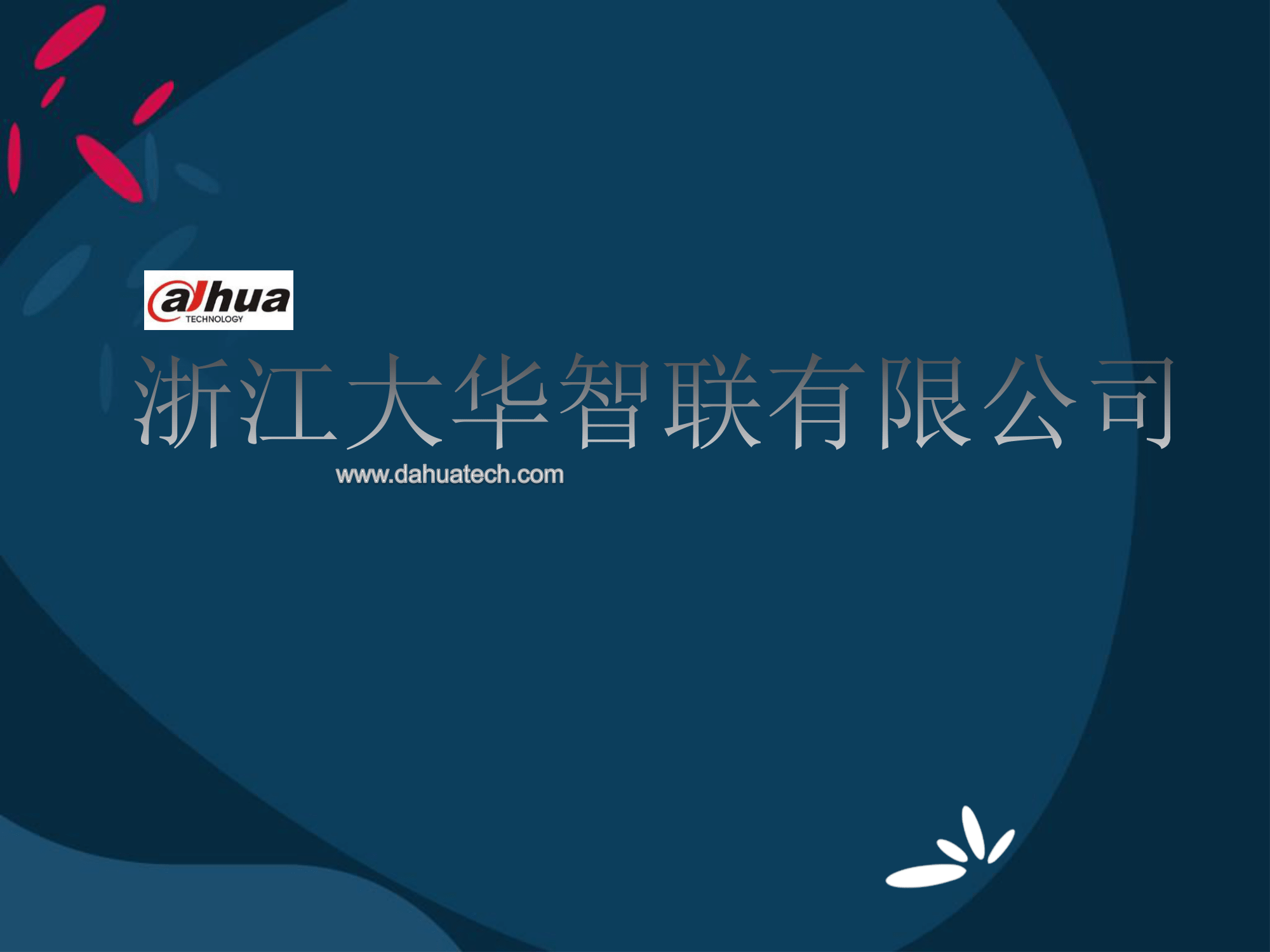 大华ppt最终版(2)-01.png